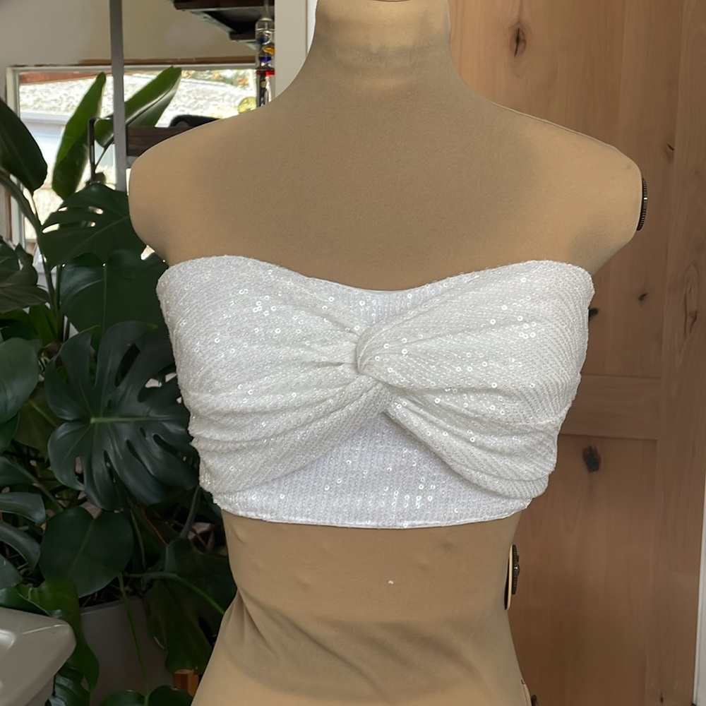Ranna Gill sequin tube top Anthropologie